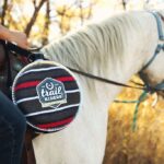 ¿Qué es mejor? Demanda de mercado o proyección de mercado