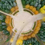 6 acciones básicas para mejorar tu marketing