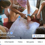 Protegido: Las 50 páginas más creativas de marcas en Facebook