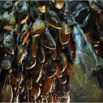 Oportunidades de Negocio en Otros Mercados. #Internacionalización On Line