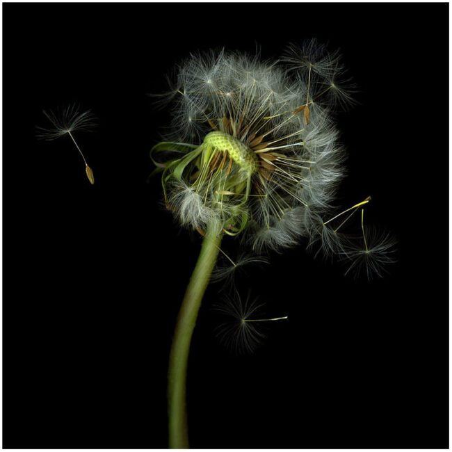 Google-Keywords-tools-VI1