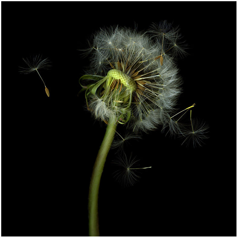 Google-Keywords-tools-VI1