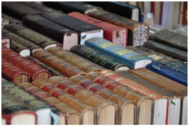 contenido-y-competencia