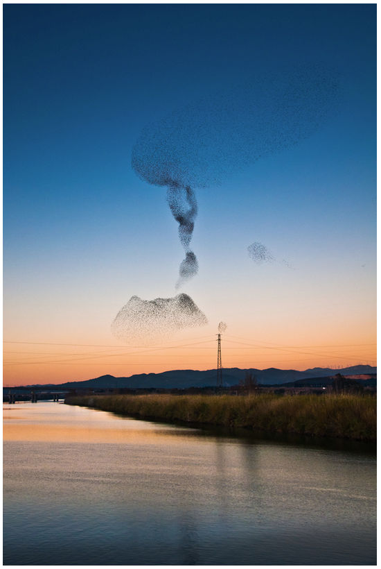 Las_4-P’s_del_Marketing