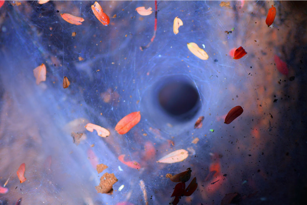 como medir el roi en marketing internacional