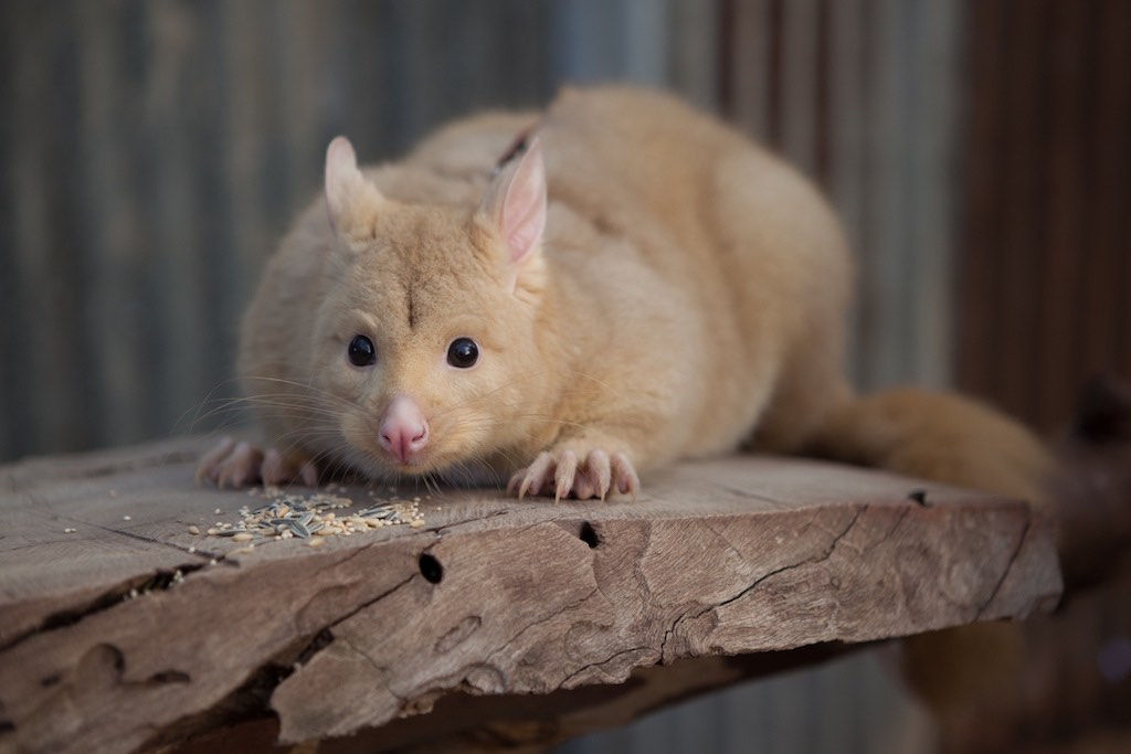 rik-van-der-kroon-235605