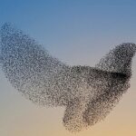 ¿Que es el Marketing de Influencia 360º y para que sirve?