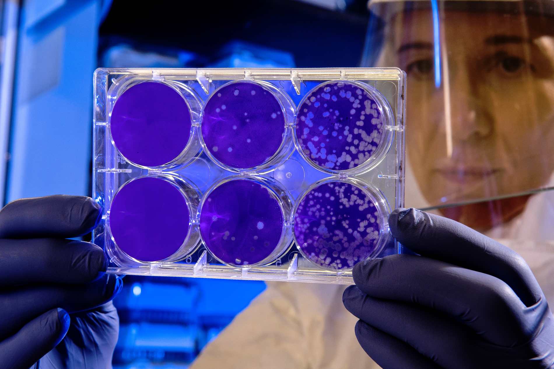 estrategia digital frente al coronavirus estrategia digital frente al coronavirus