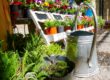 5 mejores marketplace para vender artículos de jardinería de España -LGM